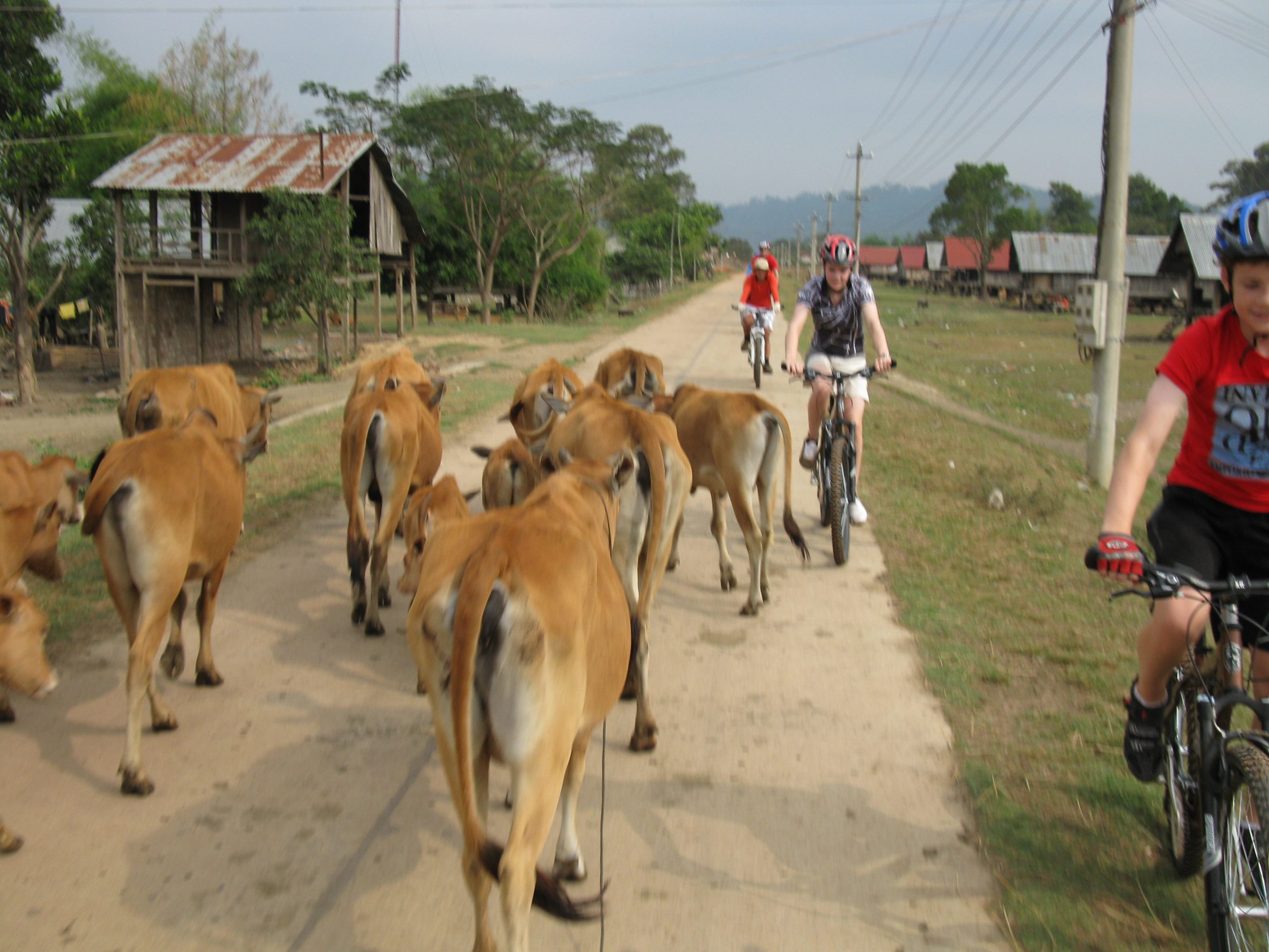 Da Lat to Hoi An by Bike 6 Days